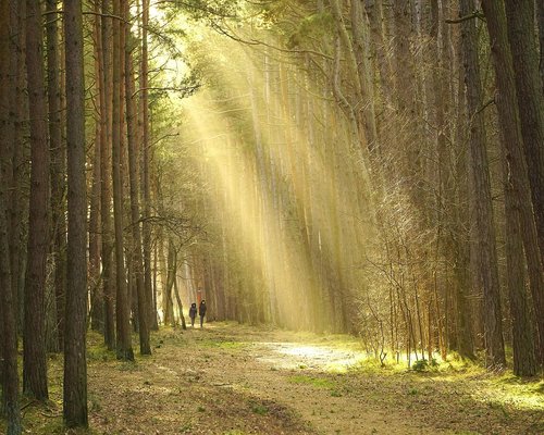 A person taking a light evening walk after work in a tropical environment