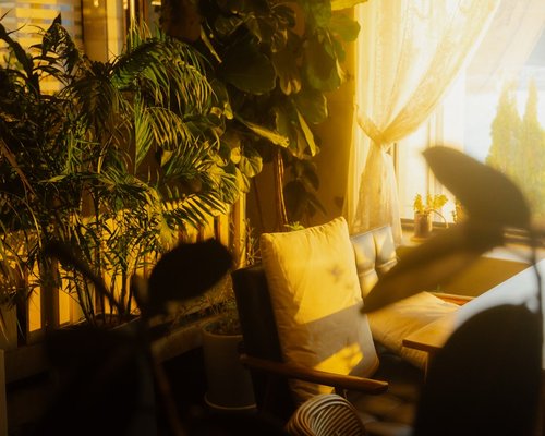 A cozy indoor setting showing a comfortable resting environment without screens